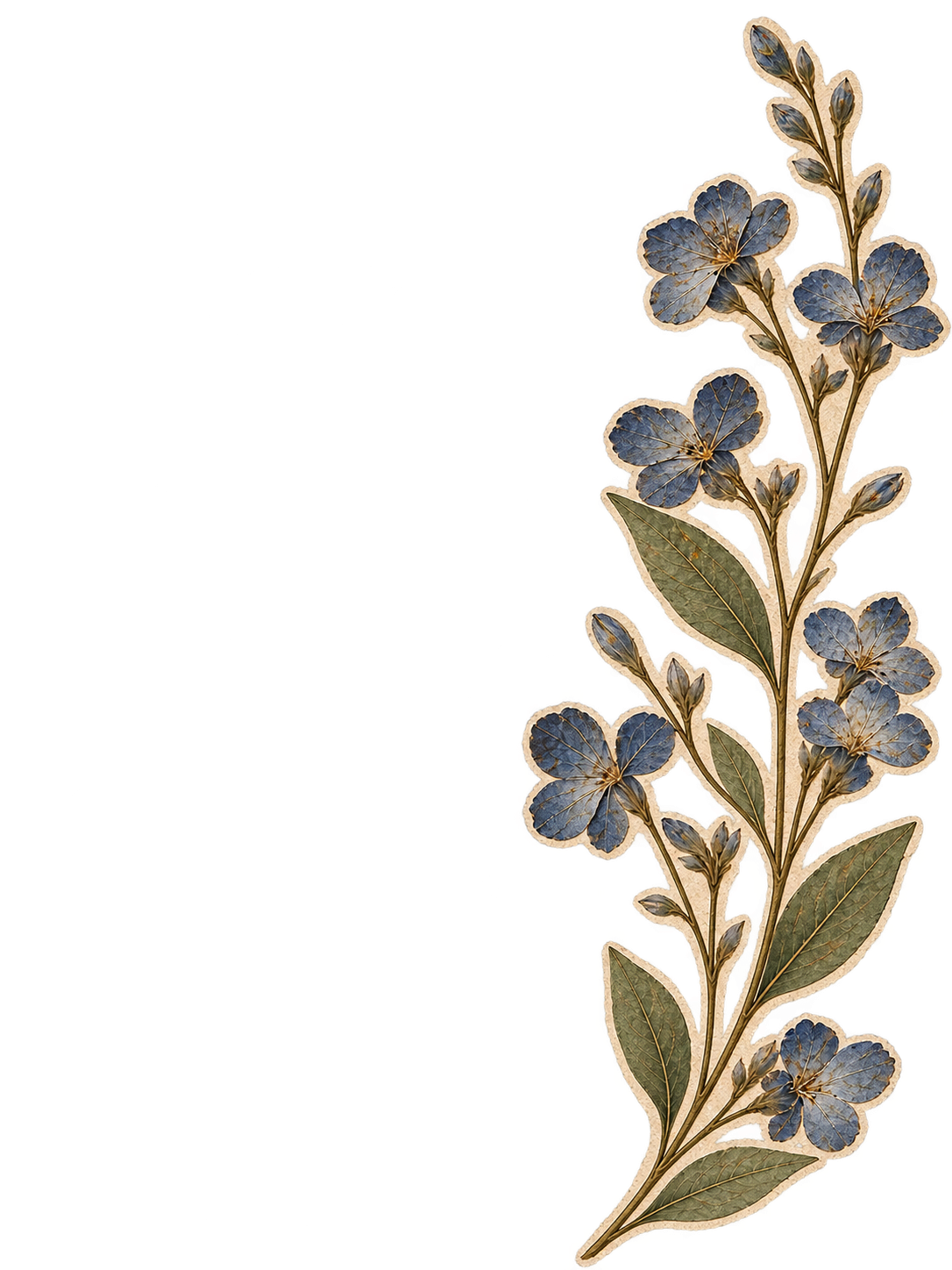 Decoración floral